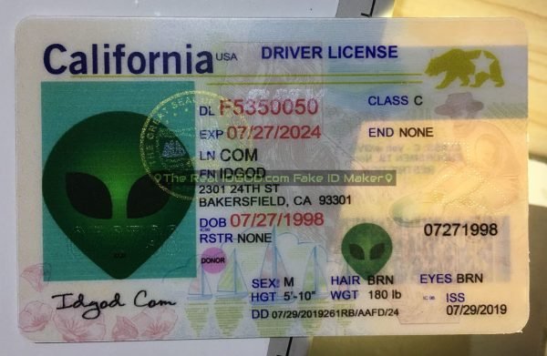 California Fake ID - Image 2