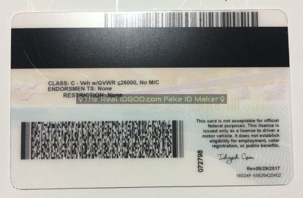 California Fake ID - Image 4