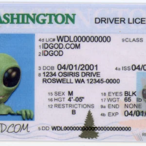 Washington Fake ID